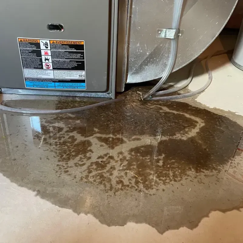 Appliance Leak Cleanup in Seneca, MO